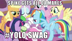 Size: 610x343 | Tagged: safe, edit, edited screencap, screencap, applejack, fluttershy, pinkie pie, rainbow dash, rarity, spike, twilight sparkle, g4, hashtag, mane seven, mane six, meme, op is a duck, op is trying to start shit, spike gets all the mares, yolo