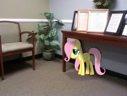 Size: 2592x1944 | Tagged: safe, artist:hawk9mm, artist:tokkazutara1164, fluttershy, g4, chair, cute, degree, female, filly, irl, photo, plant, ponies in real life, shadow, shyabetes, solo, table, younger
