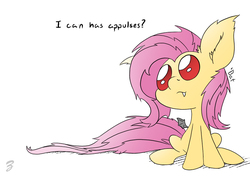 Size: 1000x705 | Tagged: safe, artist:chef j, fluttershy, bat pony, pony, g4, appul, cute, fangs, female, fluffy, flutterbat, looking up, messy mane, red eyes, shyabates, shyabetes, simple background, sitting, smiling, solo, white background