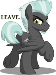 Size: 500x666 | Tagged: safe, artist:drawponies, artist:gray-gold, thunderlane, pegasus, pony, g4, backwards cutie mark, butt, glare, looking at you, looking back, male, plot, simple background, solo, stallion, transparent background, underhoof, wrong neighborhood