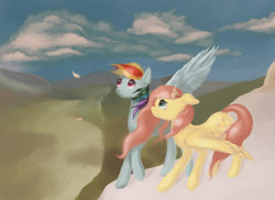 Size: 1024x745 | Tagged: safe, artist:spikedragonart, fluttershy, rainbow dash, g4, cloud, cloudy, colored, flower, wings