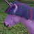 Size: 467x467 | Tagged: safe, edit, twilight sparkle, horse, pony, shetland pony, unicorn, g4, hair over eyes, hoers, horn, irl, irl horse, photo, photoshop, real pony, recolored hoers