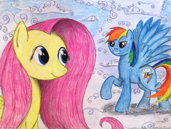 Size: 1024x776 | Tagged: safe, artist:thefriendlyelephant, fluttershy, rainbow dash, pegasus, pony, g4, cloud, cloudy, duo, feather, smirk, traditional art, wings