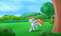 Size: 1600x960 | Tagged: safe, artist:greenknight5700, oc, oc only, oc:fireball, pegasus, pony, bush, day, hill, looking up, pegasus oc, solo, tree, wings
