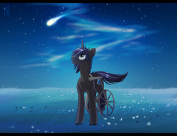Size: 1700x1304 | Tagged: safe, artist:margony, oc, oc only, oc:arctic burn, comet, grass, handicapped, night, scenery, solo, stars