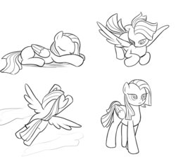 Size: 937x852 | Tagged: safe, artist:drawponies, oc, oc only, oc:melody, pegasus, pony, cloud, female, flying, folded wings, looking down, mare, monochrome, reference sheet, sketch, solo, spread wings, tail, wings, wip