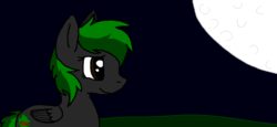 Size: 953x438 | Tagged: safe, artist:vamplrebats, oc, oc only, oc:kitkat, pegasus, pony, full moon, moon, night