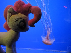 Size: 4608x3456 | Tagged: safe, artist:template93, pinkie pie, jellyfish, g4, irl, photo, plushie