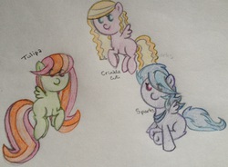 Size: 2808x2064 | Tagged: safe, artist:yombatable, oc, oc only, oc:crinklecut, oc:sparks, oc:tulipa, pegasus, pony, baby, baby pony, female, filly, foal, high res, pegasus oc, traditional art, trio