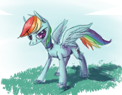 Size: 644x500 | Tagged: safe, artist:karidyas, artist:php105, rainbow dash, g4, colored, female, solo