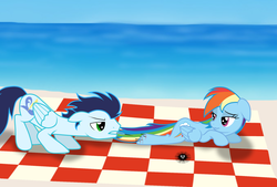 Size: 1024x691 | Tagged: safe, artist:rulette, rainbow dash, soarin', pegasus, pony, g4, beach, blood, female, floppy ears, male, mare, sea urchin, ship:soarindash, shipping, stallion, straight