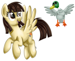 Size: 847x684 | Tagged: safe, artist:iheartjapan789, wild fire, bird, duck, mallard, pegasus, pony, g4, duo, female, flying, looking down, looking up, male, mare, op, open mouth, ponysona, signature, simple background, smiling, that pony sure does love ducks, transparent background