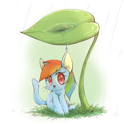 Size: 1200x1200 | Tagged: safe, artist:joycall6, rainbow dash, cat, g4, catified, female, leaf umbrella, looking at you, outdoors, rain, rainbow cat, simple background, sitting, solo, species swap