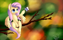 Size: 1280x828 | Tagged: safe, artist:kawaiipony2, fluttershy, butterfly, pegasus, pony, g4, female, mare, sitting, sitting in a tree, solo, tree, tree branch