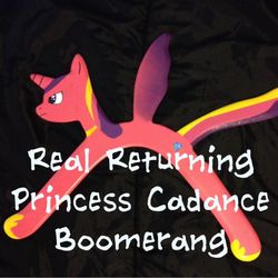 Size: 1000x1000 | Tagged: safe, princess cadance, g4, boomerang, epic wife tossing, photo