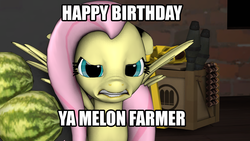 Size: 1920x1080 | Tagged: safe, artist:muddyfudger, fluttershy, g4, 3d, birthday, female, image macro, meme, solo, source filmmaker, wat, watermelon