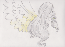 Size: 1753x1275 | Tagged: safe, artist:cristychan96, fluttershy, human, g4, female, humanized, solo, traditional art