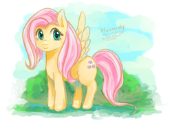 Size: 800x566 | Tagged: safe, artist:gakuezhen, fluttershy, g4, female, pixiv, solo