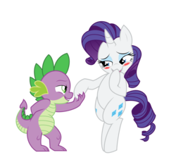 Size: 2876x2609 | Tagged: safe, artist:mickeymonster, artist:tyler611, rarity, spike, dragon, pony, unicorn, g4, belly, bipedal, blushing, duo, female, high res, hoof in mouth, legs together, male, ship:sparity, shipping, simple background, standing, straight, transparent background, vector
