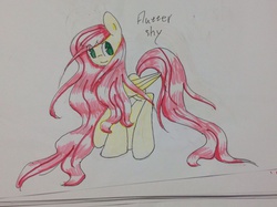 Size: 2056x1536 | Tagged: safe, artist:boapony, fluttershy, g4, female, pixiv, solo, traditional art