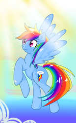 Size: 3780x6089 | Tagged: safe, artist:p3rs00n4, rainbow dash, g4, female, solo