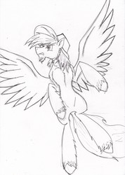 Size: 1280x1801 | Tagged: safe, artist:zubias, oc, oc only, oc:calamity, pegasus, pony, fallout equestria, black and white, chest fluff, fanfic, fanfic art, grayscale, hat, male, monochrome, simple background, sketch, solo, stallion, traditional art, white background, wings