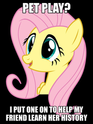 Size: 750x1000 | Tagged: safe, fluttershy, g4, testing testing 1-2-3, female, image macro, meme, painfully innocent fluttershy, reference, solo