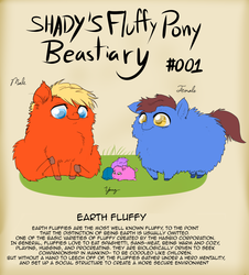 Size: 1200x1326 | Tagged: safe, artist:shadysmarty, earth pony, fluffy pony, pony, bestiary, fluffy beastiary, fluffy family, fluffy pony foals, text