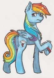 Size: 1024x1481 | Tagged: safe, artist:lestee, rainbow dash, g4, female, solo, traditional art