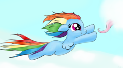 Size: 1024x575 | Tagged: safe, artist:joycat, fluttershy, rainbow dash, g4