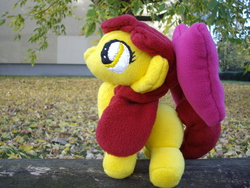 Size: 2592x1944 | Tagged: safe, artist:celestia-in-love, apple bloom, g4, irl, photo, plushie