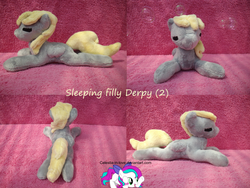 Size: 1024x770 | Tagged: safe, artist:celestia-in-love, derpy hooves, pegasus, pony, g4, female, irl, mare, photo, plushie