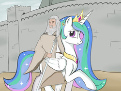 Size: 800x600 | Tagged: safe, artist:smehoon, princess celestia, human, g4, crossover, duo, gandalf, gandalf the white, lord of the rings