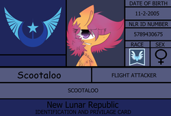 Size: 3071x2088 | Tagged: safe, artist:scootaloocuteness, scootaloo, g4, female, high res, id card, misspelling, new lunar republic, scootaloo can fly, solo