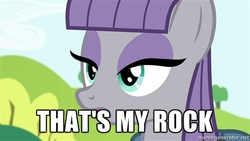 Size: 500x281 | Tagged: safe, maud pie, g4, maud pie (episode), my little pony: friendship is magic, exploitable meme, meme, memegenerator, reaction image, that's my x