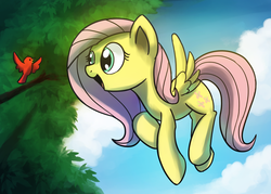Size: 1910x1367 | Tagged: safe, artist:anticular, fluttershy, bird, pegasus, pony, g4, female, flying, mare, open mouth, singing, solo
