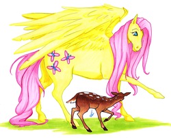 Size: 5007x4047 | Tagged: safe, artist:wishing0nthestars, fluttershy, deer, pegasus, pony, g4, absurd resolution, traditional art