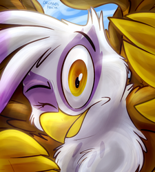 Size: 648x720 | Tagged: safe, artist:thedoggygal, gilda, griffon, g4, against glass, female, fourth wall, glass, looking at you, one eye closed, solo
