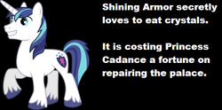 Size: 504x250 | Tagged: safe, princess cadance, shining armor, g4, headcanon, male, pica, solo, text