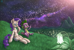 Size: 3000x2027 | Tagged: safe, artist:mrs1989, rarity, spike, g4, female, high res, male, night, scenery, ship:sparity, shipping, stargazing, straight