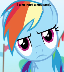 Size: 631x703 | Tagged: safe, rainbow dash, g4, female, image macro, meme, solo, unamused