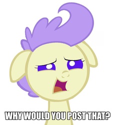 Size: 857x933 | Tagged: safe, artist:3d4d, cream puff, pony, g4, baby, baby pony, female, image macro, meme, reaction image, simple background, solo, white background, why would you post that, worried