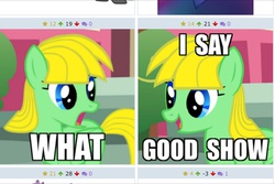 Size: 960x640 | Tagged: safe, artist:viva reverie, oc, oc only, oc:viva reverie, pegasus, pony, derpibooru, g4, exploitable meme, forced juxtaposition, good show, immatoonlink, impact font, juxtaposition, juxtaposition win, meme, meta, ponysona, show accurate