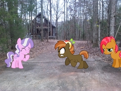 Size: 2592x1944 | Tagged: safe, artist:lahirien, artist:liggliluff, artist:tokkazutara1164, artist:tzolkine, babs seed, button mash, diamond tiara, oc, earth pony, pony, g4, angry, buttonseed, cabin, cabin in the woods, colt, crying, female, filly, foal, forest, hat, irl, laughing, leaves, male, photo, ponies in real life, propeller hat, shipping, snickering, vector