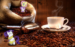 Size: 1920x1200 | Tagged: safe, artist:digitalpheonix, artist:stimpyrules, artist:thatguy1945, fluttershy, rarity, pony, g4, alternate hairstyle, bathrobe, clothes, coffee, coffee beans, cup, duo, irl, micro, photo, ponies in real life, robe, sack, saucer, scoop, spoon, vector