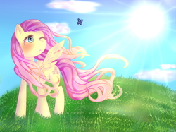 Size: 2592x1936 | Tagged: safe, artist:lisajes, fluttershy, g4, female, solo, windswept mane