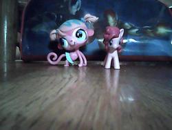 Size: 640x480 | Tagged: safe, artist:5raptor5, pinkie pie, g4, crossover, irl, littlest pet shop, minka mark, photo, toy