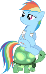 Size: 1990x3203 | Tagged: safe, artist:tourniquetmuffin, rainbow dash, tank, pegasus, pony, tortoise, g4, may the best pet win, bandage, bandaged wing, duo, ponies riding turtles, rainbow dash riding tank, riding, simple background, sitting, smiling, transparent background, vector