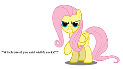 Size: 1920x1080 | Tagged: safe, fluttershy, g4, angry, bronybait, female, misspelling, solo