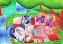 Size: 3504x2452 | Tagged: safe, artist:galaguga, princess cadance, shining armor, g4, high res, picnic, traditional art